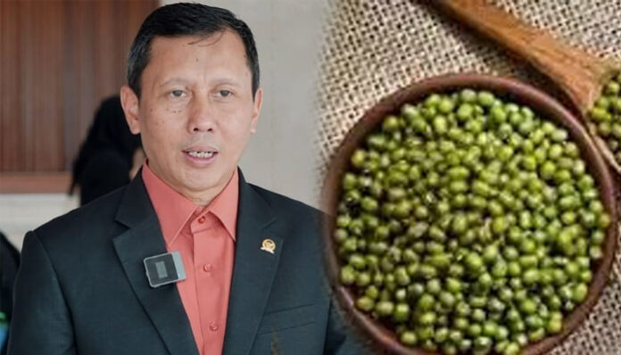 kacang